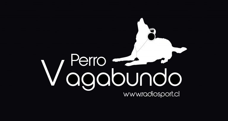 perrovagabundo