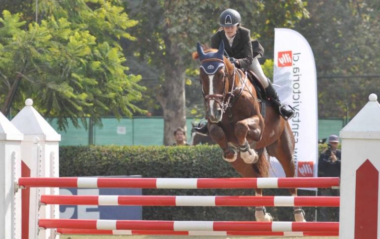 Mario Fuentes Equitacion
