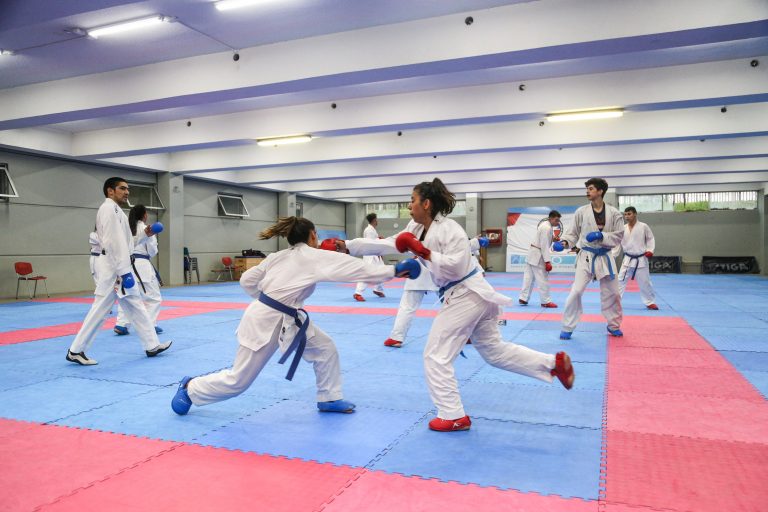 ENTRENAMIENTO_KARATE_GIRA_19012018