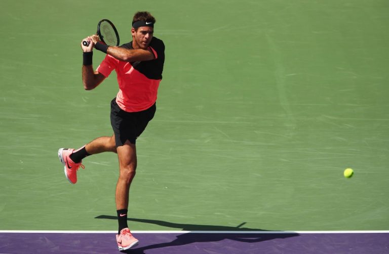 Del Potro Miami Open 1
