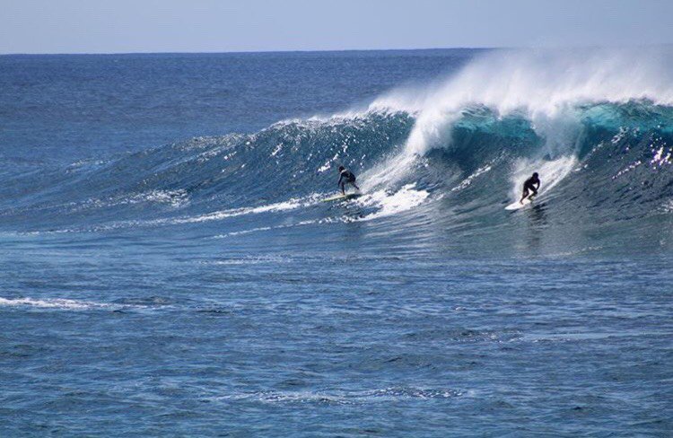 Surfd