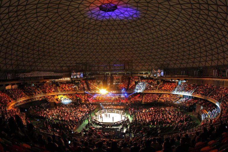 UFCChile