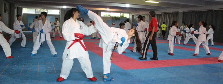 karate_team (1)