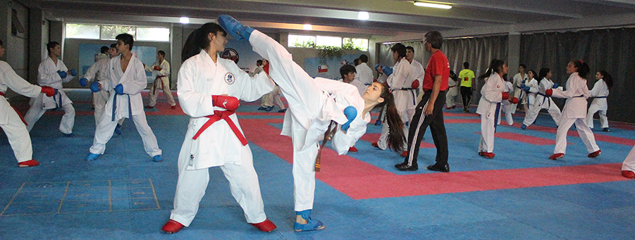 karate_team (1)