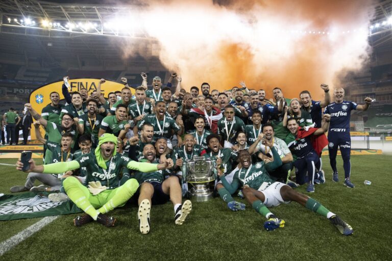 Palmeiras campeao Copa de Brasil (CBF Futebol 1)